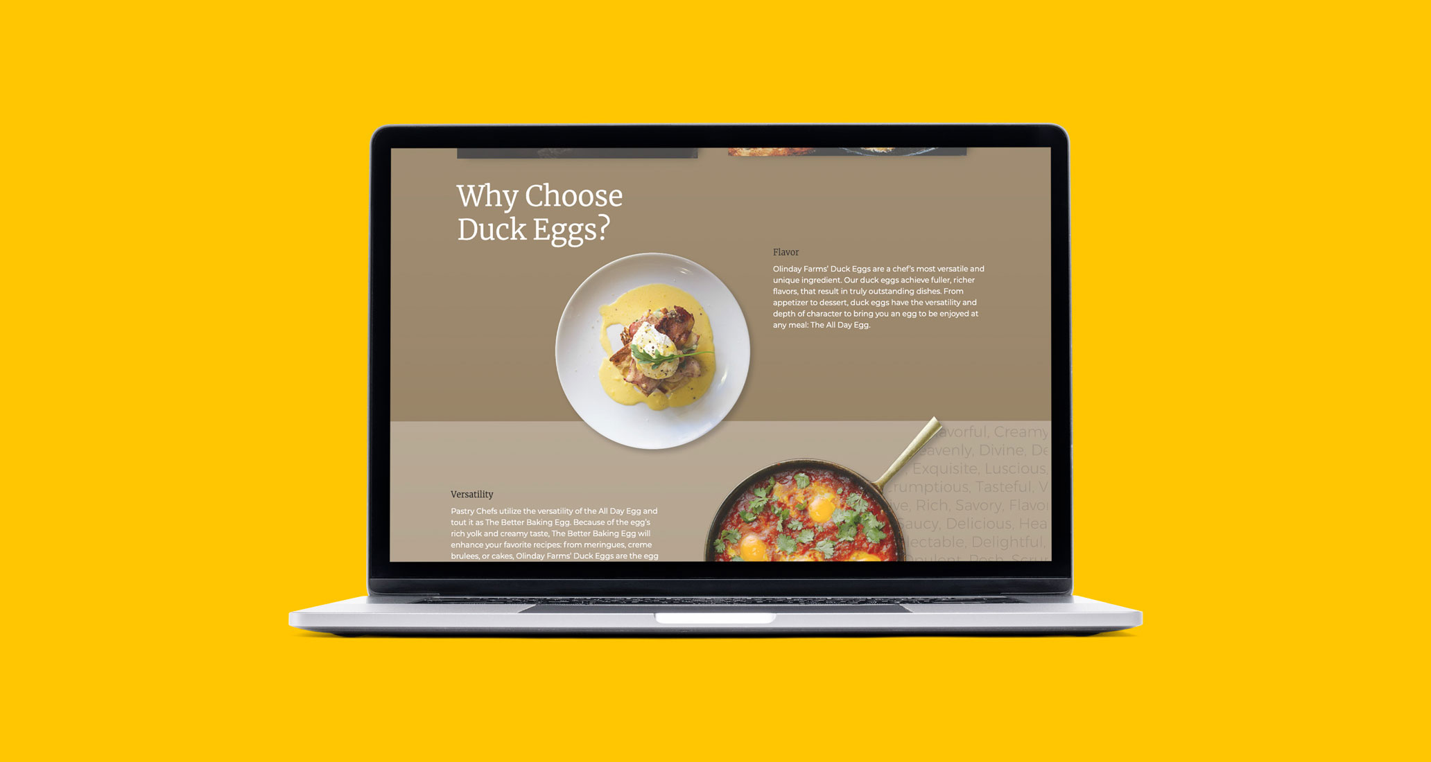 OlindayFarms-DesktopMockup-1