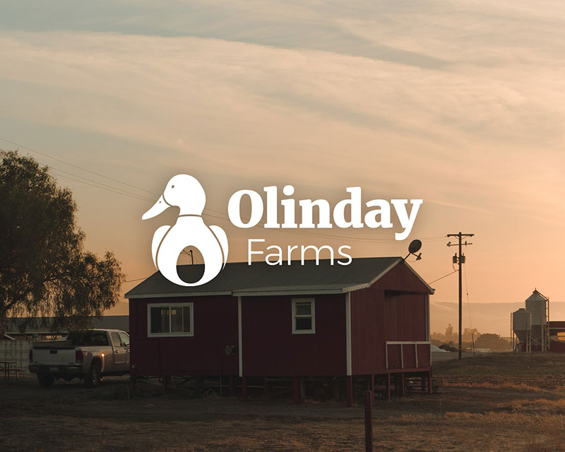 Work-OLF-Header